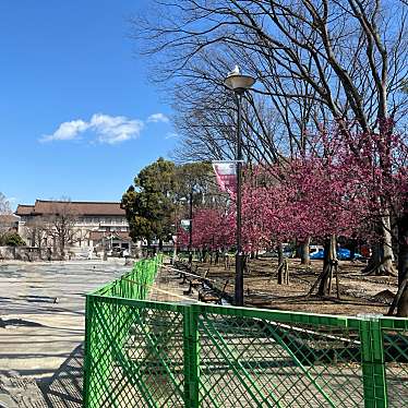 cinquantaの備忘録さんが投稿した上野公園博物館のお店東京国立博物館/トウキョウコクリツハクブツカンの写真