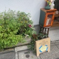 実際訪問したユーザーが直接撮影して投稿した千駄ヶ谷アパレルショップTHE MOTT HOUSE TOKYOの写真