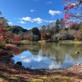 実際訪問したユーザーが直接撮影して投稿した内郷白水町寺白水阿弥陀堂の写真