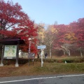 実際訪問したユーザーが直接撮影して投稿した見祢山神社土津神社の写真