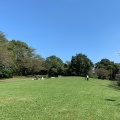 実際訪問したユーザーが直接撮影して投稿した和田山公園本牧山頂公園の写真