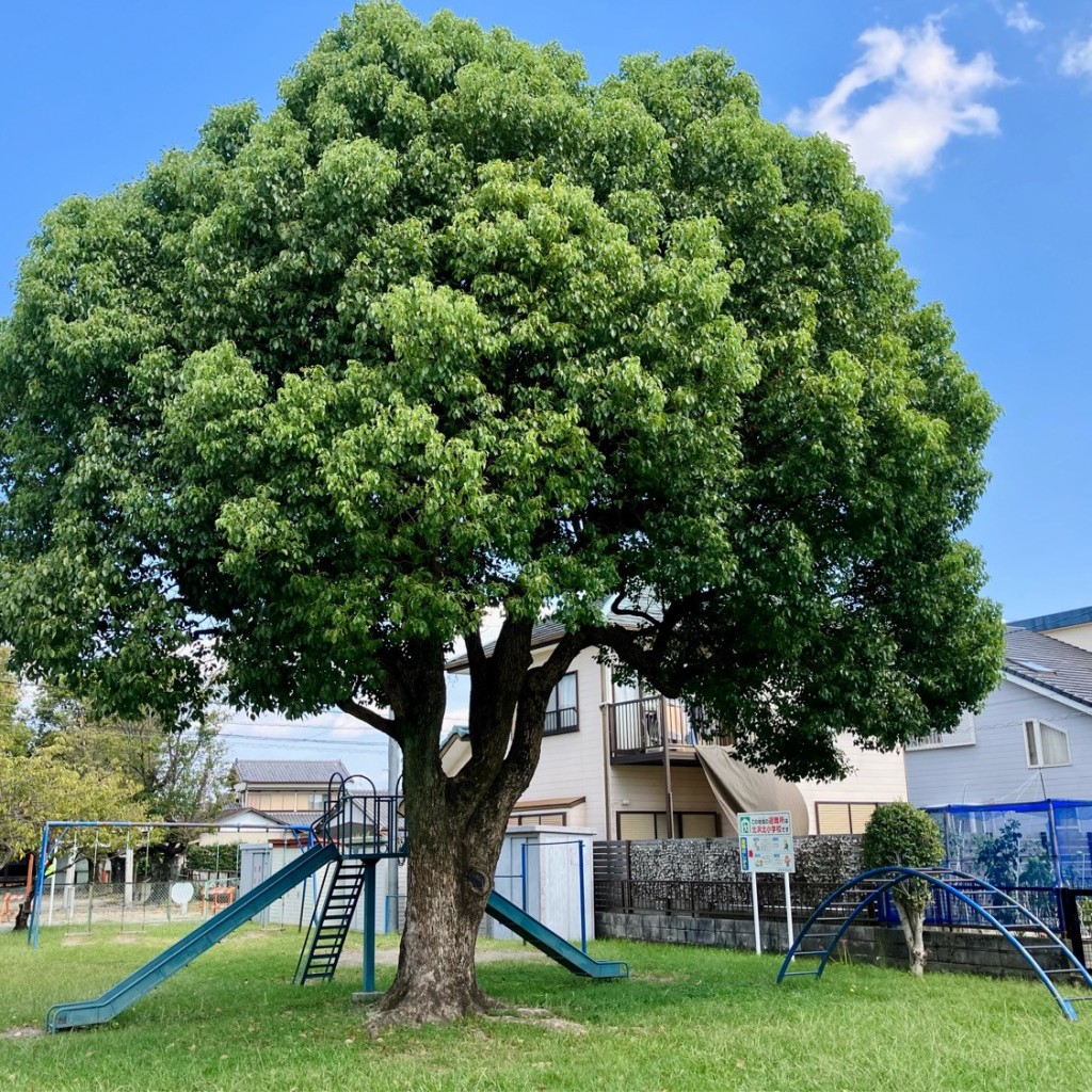 実際訪問したユーザーが直接撮影して投稿した西美薗公園西美薗大上児童遊園地の写真