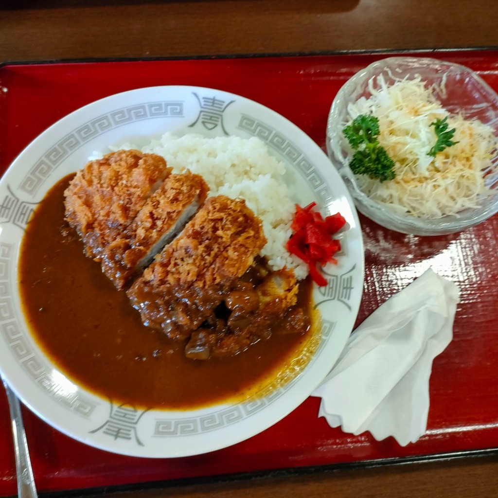 ユーザーが投稿したカツカレー [中辛]の写真 - 実際訪問したユーザーが直接撮影して投稿した(番地が直接)和食 / 日本料理小菅の湯 ひのきの写真