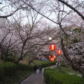 実際訪問したユーザーが直接撮影して投稿した立願寺公園蛇ヶ谷公園の写真