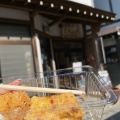 実際訪問したユーザーが直接撮影して投稿した銀山新畑その他飲食店野川とうふやの写真