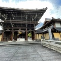 実際訪問したユーザーが直接撮影して投稿した寺興正寺の写真
