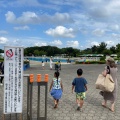 実際訪問したユーザーが直接撮影して投稿した池辺公園川越水上公園の写真