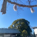 実際訪問したユーザーが直接撮影して投稿した宮崎町神社伊勢山皇大神宮の写真