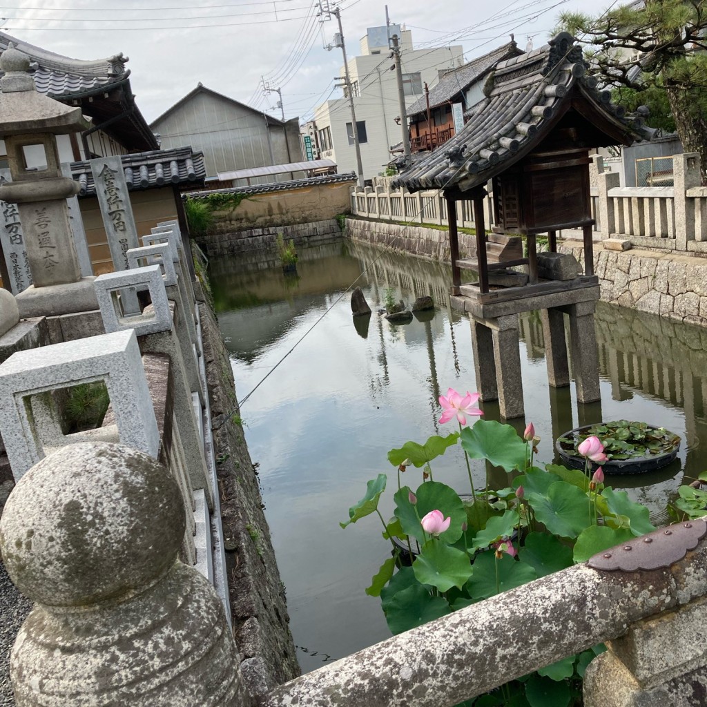 実際訪問したユーザーが直接撮影して投稿した善通寺町橋廿日橋の写真