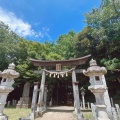 実際訪問したユーザーが直接撮影して投稿した三山神社二宮神社の写真