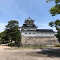 実際訪問したユーザーが直接撮影して投稿した本丸公園富山城址公園の写真