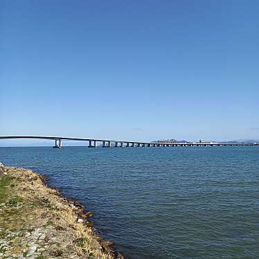 実際訪問したユーザーが直接撮影して投稿した今浜町橋琵琶湖大橋の写真