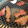 焼肉B定食 - 実際訪問したユーザーが直接撮影して投稿した北中振焼肉焼肉彩苑がんてつ 枚方店の写真のメニュー情報