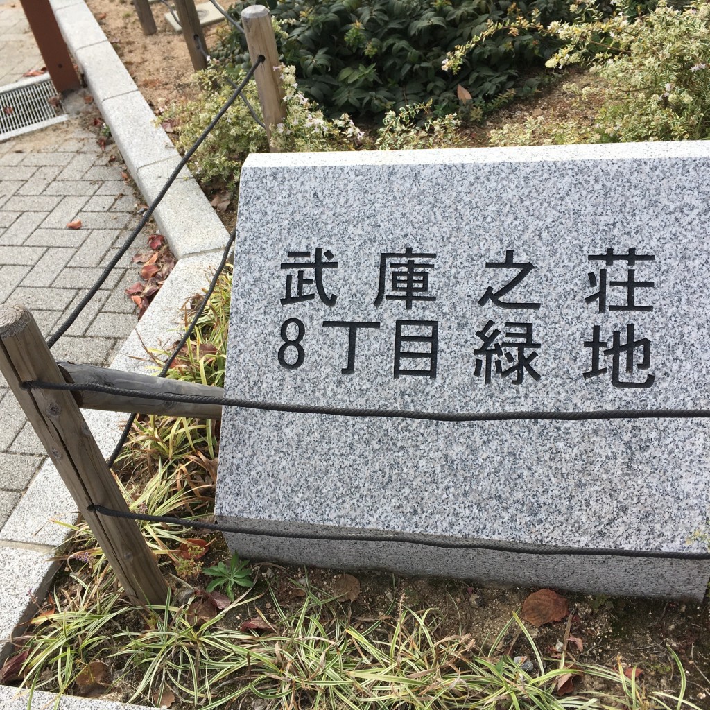 ぶどううり・くすこさんが投稿した武庫之荘公園のお店武庫之荘8丁目緑地/ムコノソウハッチョウメリョクチの写真