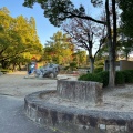 実際訪問したユーザーが直接撮影して投稿したにじが丘公園虹ヶ丘公園の写真