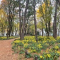 実際訪問したユーザーが直接撮影して投稿した栄公園白川公園の写真