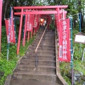 実際訪問したユーザーが直接撮影して投稿した神社草津穴守稲荷神社の写真