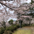 実際訪問したユーザーが直接撮影して投稿した植木町豊岡公園田原坂公園の写真