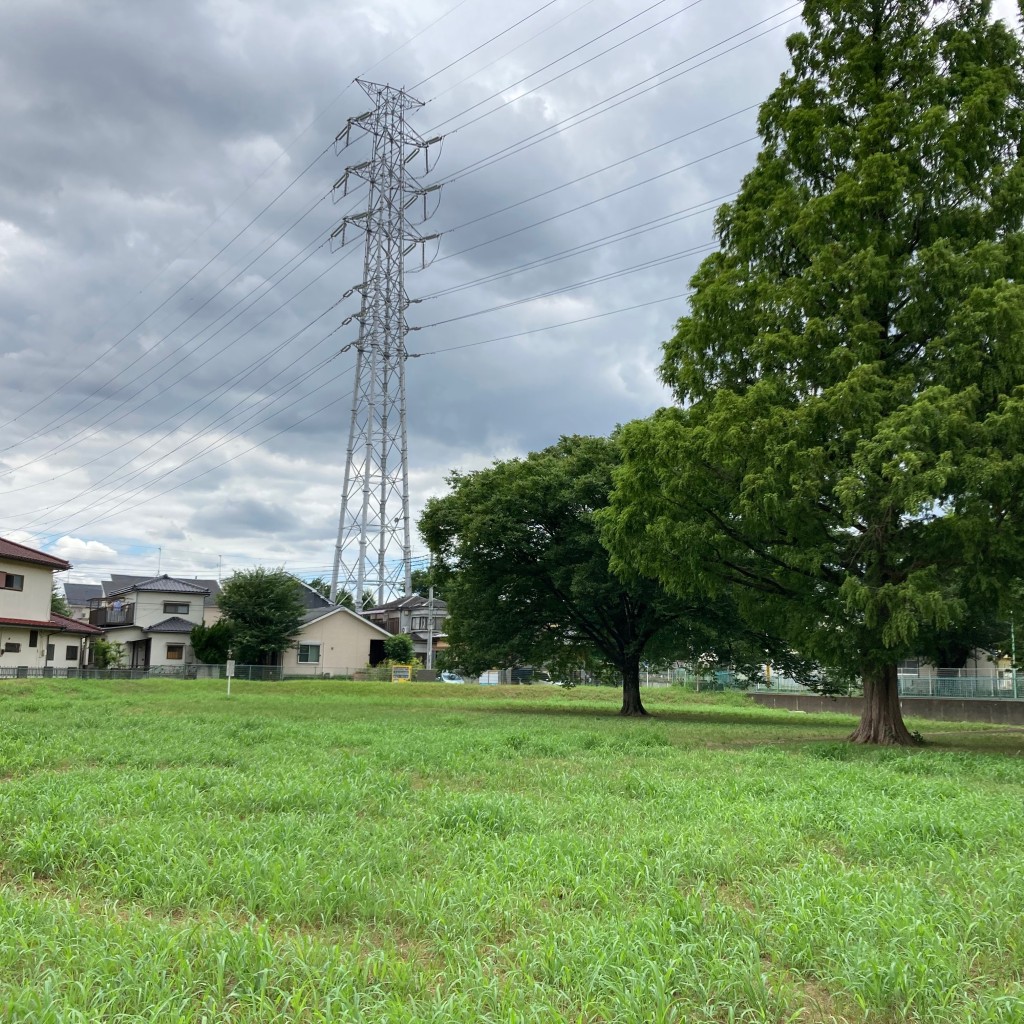 実際訪問したユーザーが直接撮影して投稿した新座公園三角公園の写真