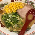 ラーメン並 コーントッピング - 実際訪問したユーザーが直接撮影して投稿した庵治町ラーメン専門店天下一品 奈良庵治店の写真のメニュー情報