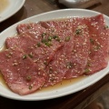 ヒレ肉ありコース - 実際訪問したユーザーが直接撮影して投稿した南浅間町ホルモン松翔苑の写真のメニュー情報