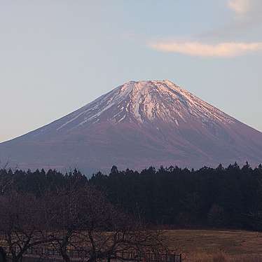 実際訪問したユーザーが直接撮影して投稿した根原展望台 / 展望施設朝霧高原 富士山展望台の写真