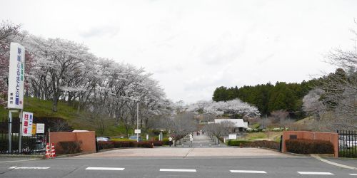 実際訪問したユーザーが直接撮影して投稿した静公園静峰ふるさと公園の写真