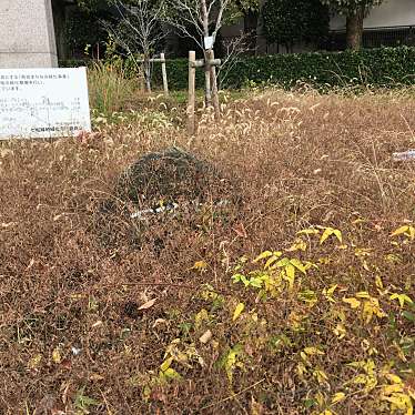 ぶどううり・くすこさんが投稿した七松町公園のお店七松緑地/シチマツリョクチの写真