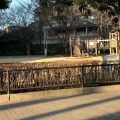 実際訪問したユーザーが直接撮影して投稿した山田市場公園山田川公園の写真