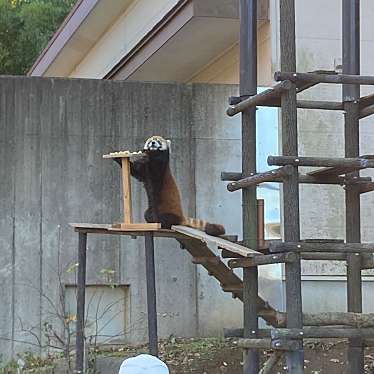 千葉市動物公園のundefinedに実際訪問訪問したユーザーunknownさんが新しく投稿した新着口コミの写真