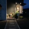 実際訪問したユーザーが直接撮影して投稿した大和町剣居酒屋呑上の写真