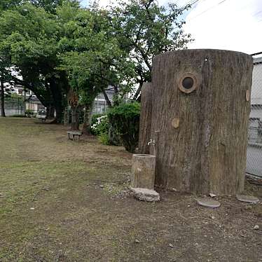 実際訪問したユーザーが直接撮影して投稿した駅東公園夕やけ児童公園の写真