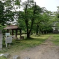 実際訪問したユーザーが直接撮影して投稿した岡田松岡公園美須々公園の写真