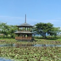 実際訪問したユーザーが直接撮影して投稿した公園大池公園の写真