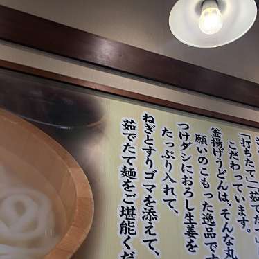 Mistyさんが投稿した御仮屋町うどんのお店丸亀製麺 島田店/マルガメセイメン シマダテンの写真