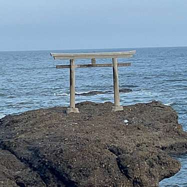 かつかつ2400さんが投稿した磯浜町地域名所のお店大洗磯前神社 神磯の鳥居/オオアライカミイソジンジャ カミイソノトリイの写真