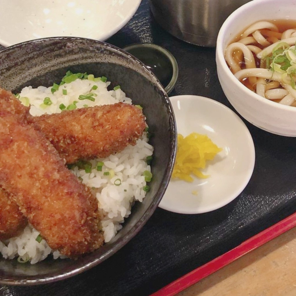 ユーザーが投稿した醤油カツ丼の写真 - 実際訪問したユーザーが直接撮影して投稿した竹の山とんかつわだ泉 竹の山店の写真