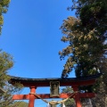 実際訪問したユーザーが直接撮影して投稿した東郷神社大前神社の写真