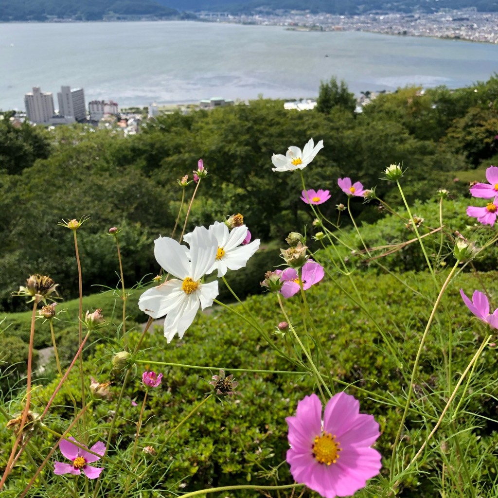 ゆーーーーーーさんが投稿した上諏訪公園のお店立石公園/タテイシコウエンの写真