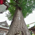 実際訪問したユーザーが直接撮影して投稿した三山神社二宮神社の写真