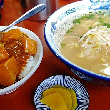 実際訪問したユーザーが直接撮影して投稿した知覧町郡ラーメン / つけ麺みなとばし食堂の写真