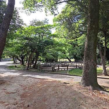 実際訪問したユーザーが直接撮影して投稿した鵜の森公園鵜の森公園の写真