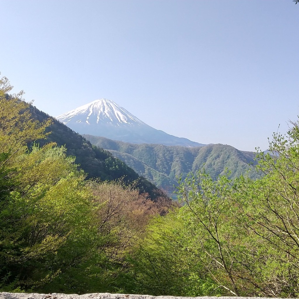 実際訪問したユーザーが直接撮影して投稿した西湖オートキャンプ場キャンピングリゾートWANの写真