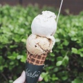 実際訪問したユーザーが直接撮影して投稿した新港町アイスクリームハーロウ アイスクリームショップの写真