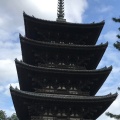 実際訪問したユーザーが直接撮影して投稿した登大路町寺興福寺の写真
