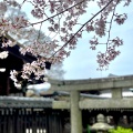 実際訪問したユーザーが直接撮影して投稿した西の庄神社石坐神社の写真