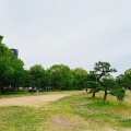 実際訪問したユーザーが直接撮影して投稿した法円坂公園難波宮跡公園の写真