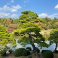 実際訪問したユーザーが直接撮影して投稿した千里万博公園庭園日本庭園の写真