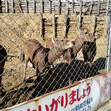 実際訪問したユーザーが直接撮影して投稿した平田町公園愛宕山公園の写真