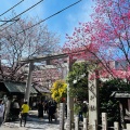 実際訪問したユーザーが直接撮影して投稿した蔵前神社蔵前神社の写真